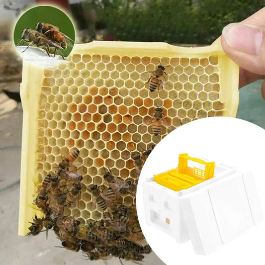 Multi-Functional Beehive Bee Hive Boxes for Mating Supplies Peaceful Pleasures Health and Wellness