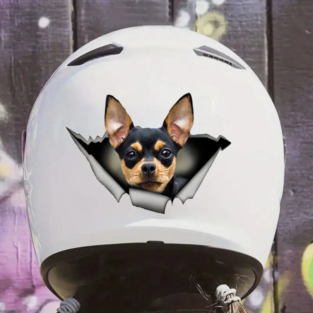 3Pcs 8inch*5.08inch Chihuahua Vinyl Sticker Decal Stickers Car truck Window Bumper Sticker Peaceful Pleasures Health and Wellness