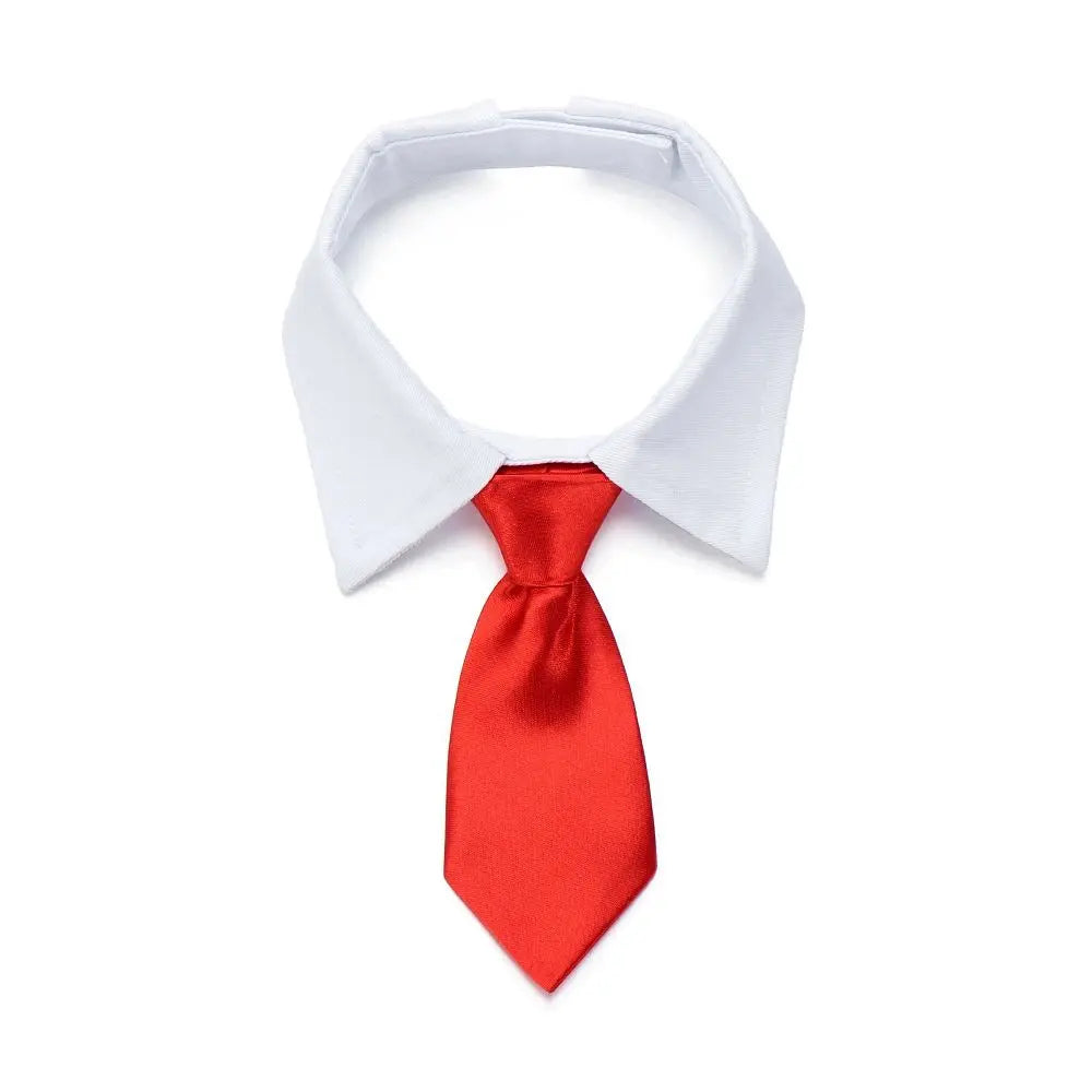 Adjustable Pet Bow Tie Collar for Small Dogs & Cats