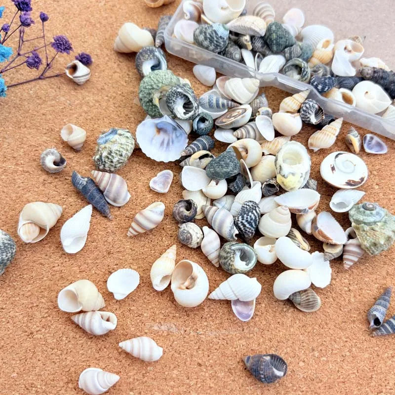 Resin Simulation Pearls & Shells Mix – DIY Craft & Home Décor