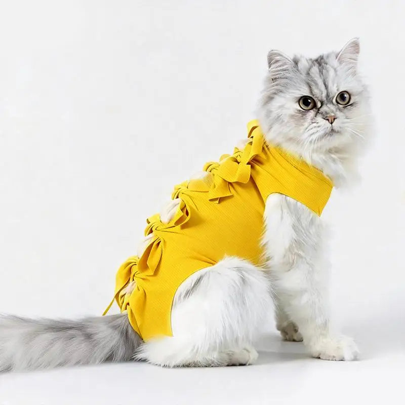 Cat Recovery Suit – Post-Op Anti-Licking Protective Clothing