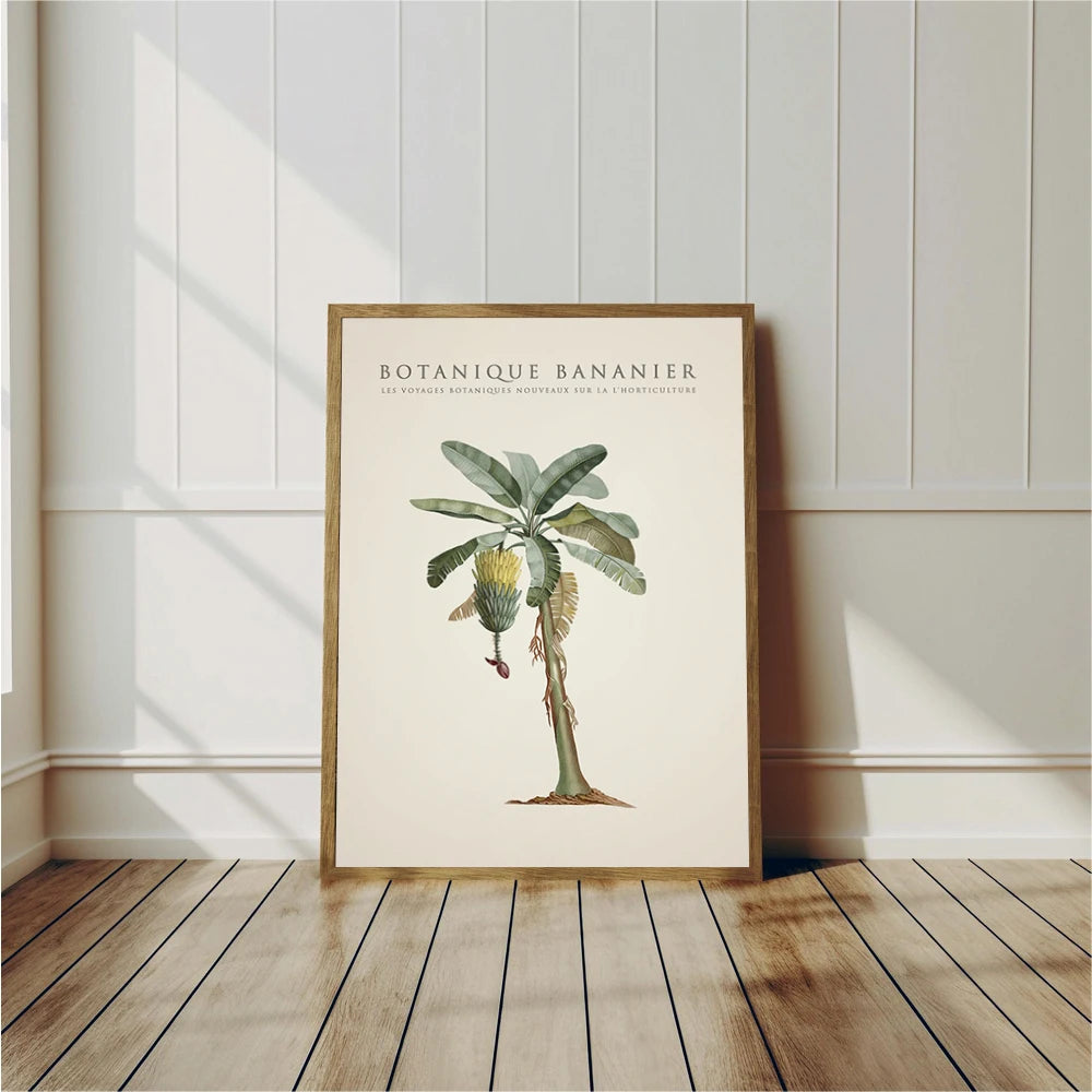 Tropical Palm & Banana Tree Vintage Botanical Canvas Wall Art Botanical Canvas Print Peaceful Pleasures Health and Wellness