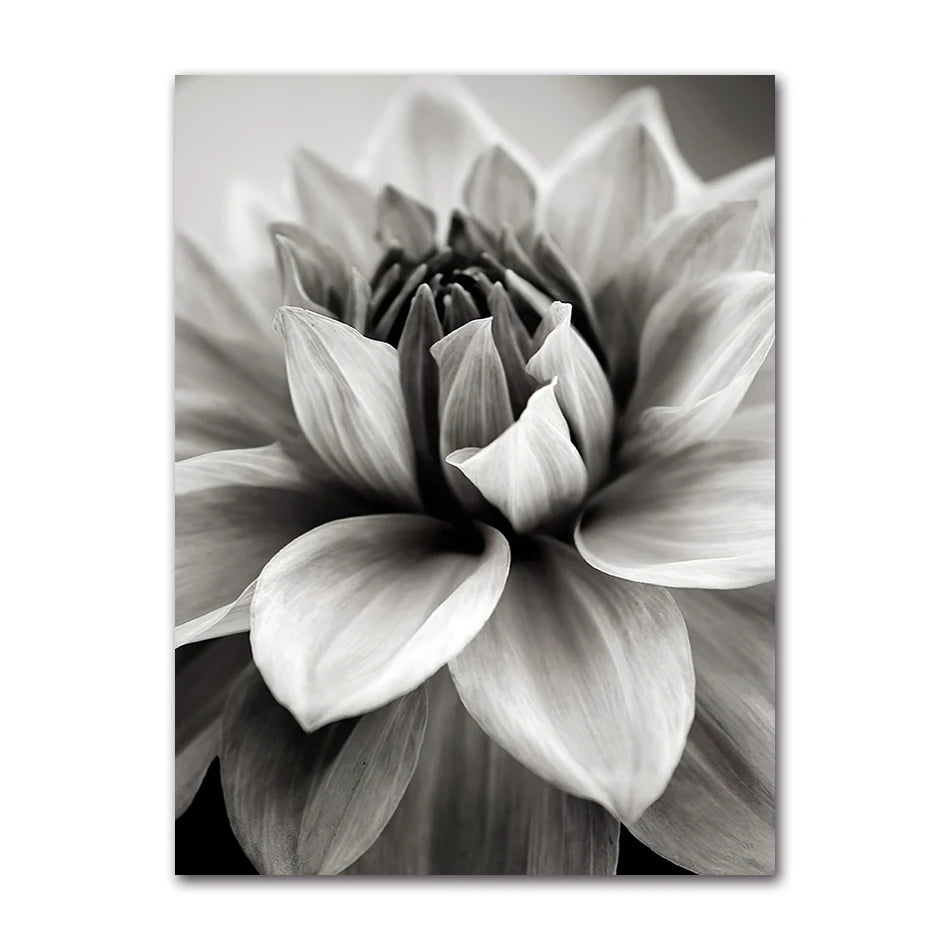 Black & White Floral Canvas Wall Art | Nordic Abstract Poster