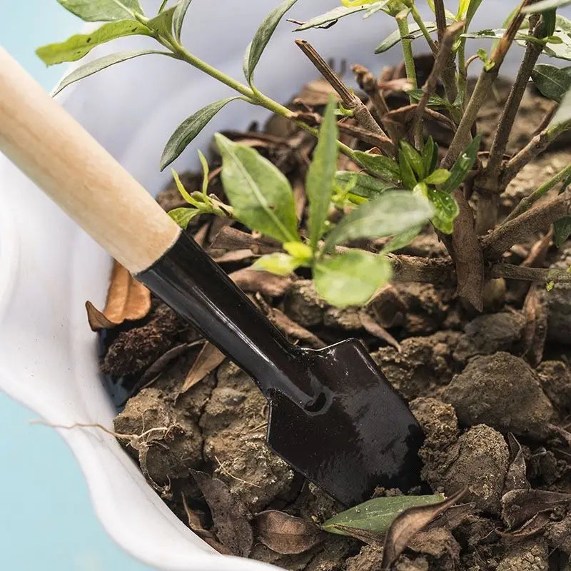 3-Piece Mini Garden Tool Set – Shovel, Rake & Trowel