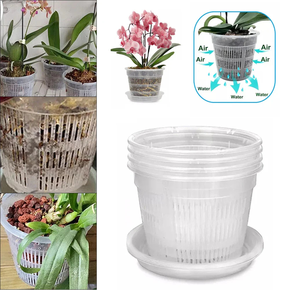 5-Pack Clear Orchid Pots with Saucers & Drainage Holes