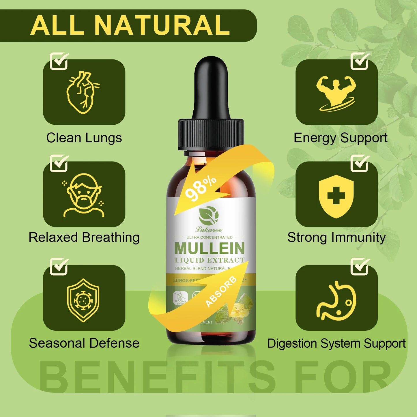 Mullein Leaf Extract Drops – Lung Detox, Respiratory & Immune Support | 60ml Peaceful Pleasures Health and Wellness