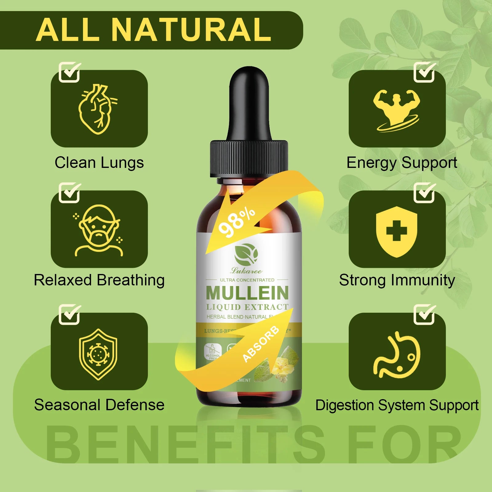 Mullein Leaf Extract Drops – Lung Detox, Respiratory & Immune Support | 60ml Peaceful Pleasures Health and Wellness