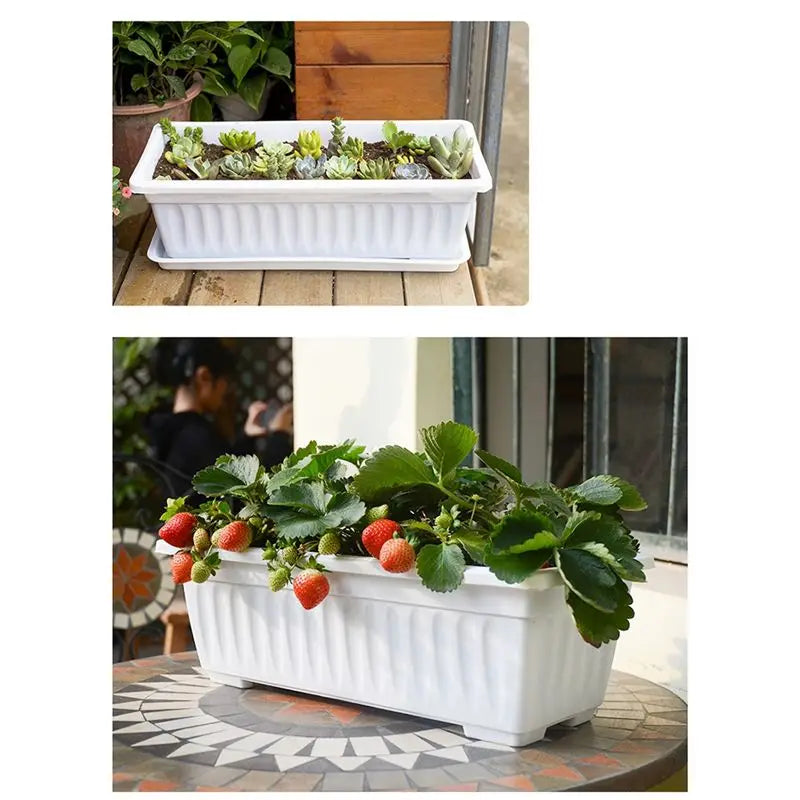 A36T-Nursery Pot Absorbing Water Vegetable Pot Long Strip Double Layer Flower Pot Plastic Basin For Indoor Garden Balcony Peaceful Pleasures Health and Wellness