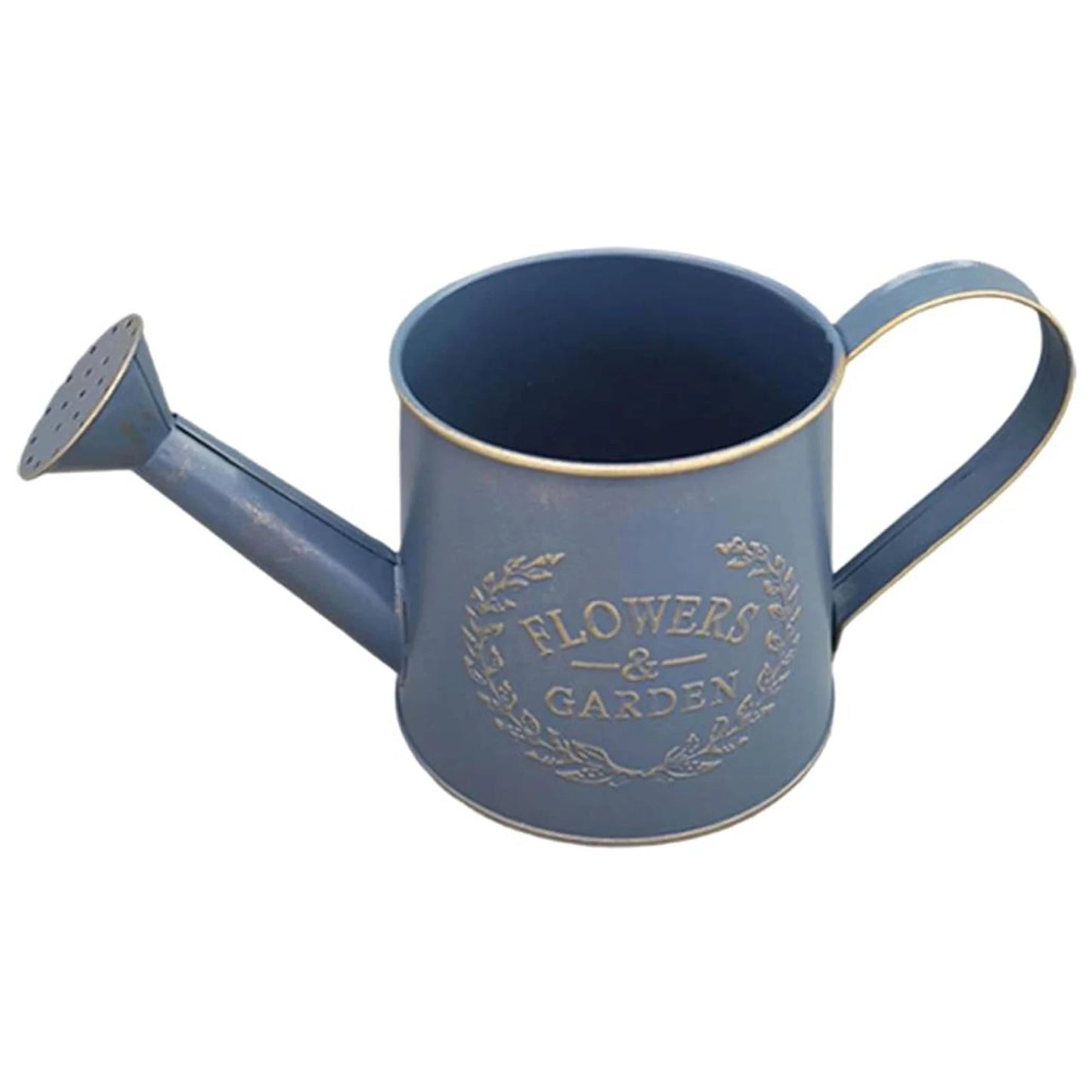 Metal Garden Watering Can with Handle Small Garden Watering Bucket Vintage Garden Watering Pot for Succulents and Indoor Plants Peaceful Pleasures Health and Wellness