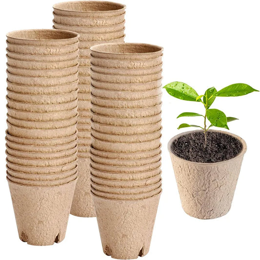 Biodegradable Pulp Seed Starter Pots | 10/20 Pack with Drainage Seed Starter Pots Oasis Select