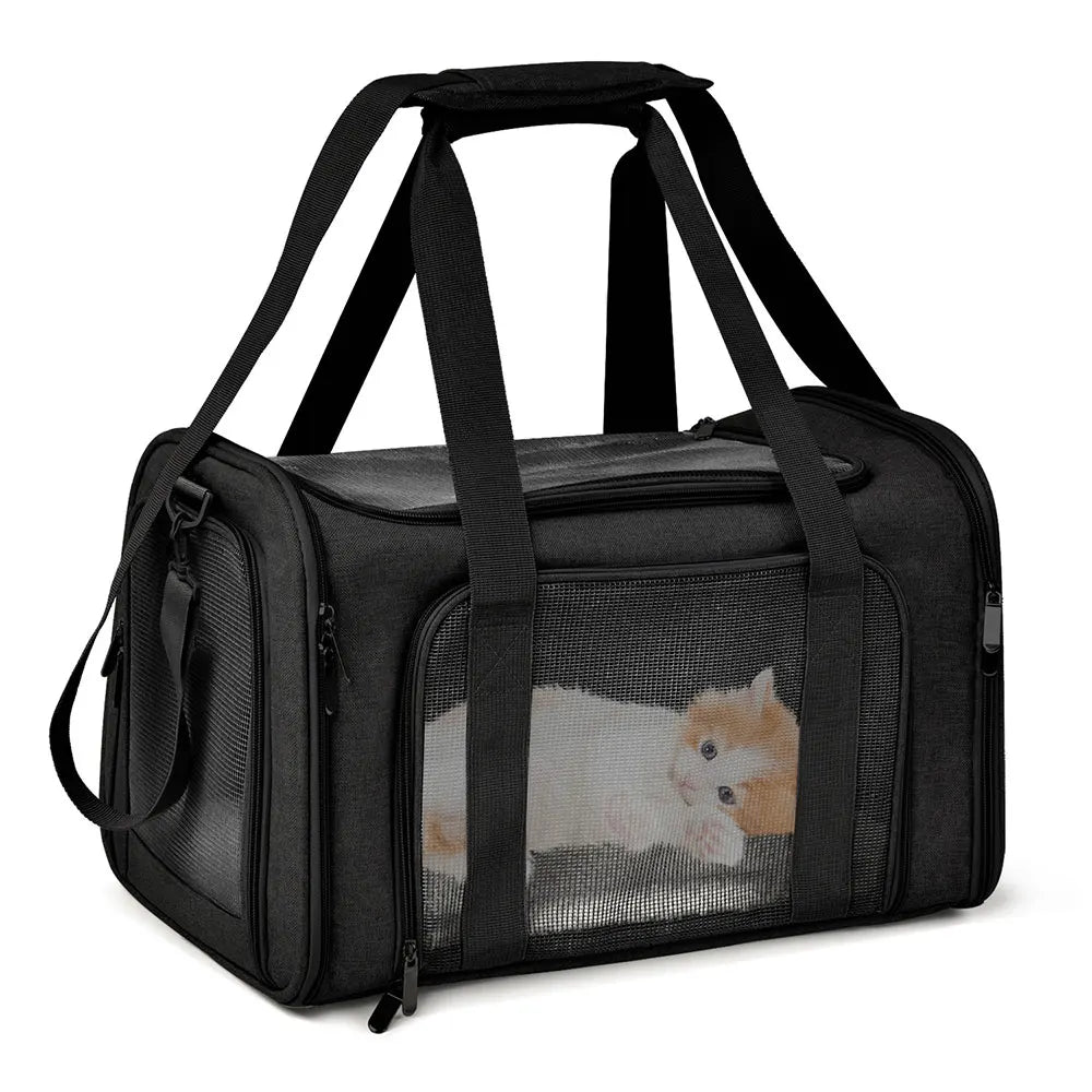 Airline Approved Pet Carrier Backpack for Small Dogs & Cats