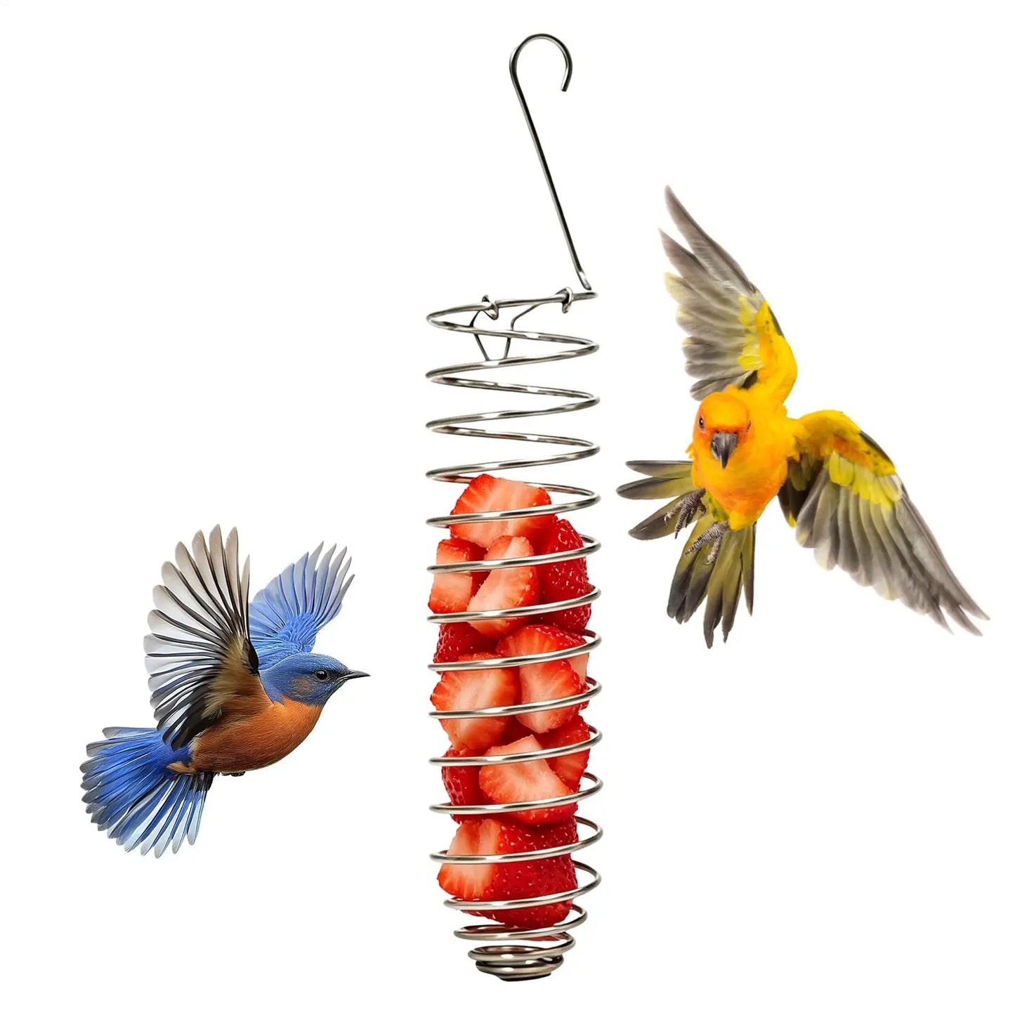 Stainless Steel Spiral Bird Forager Feeder – Fruit & Veggie Basket