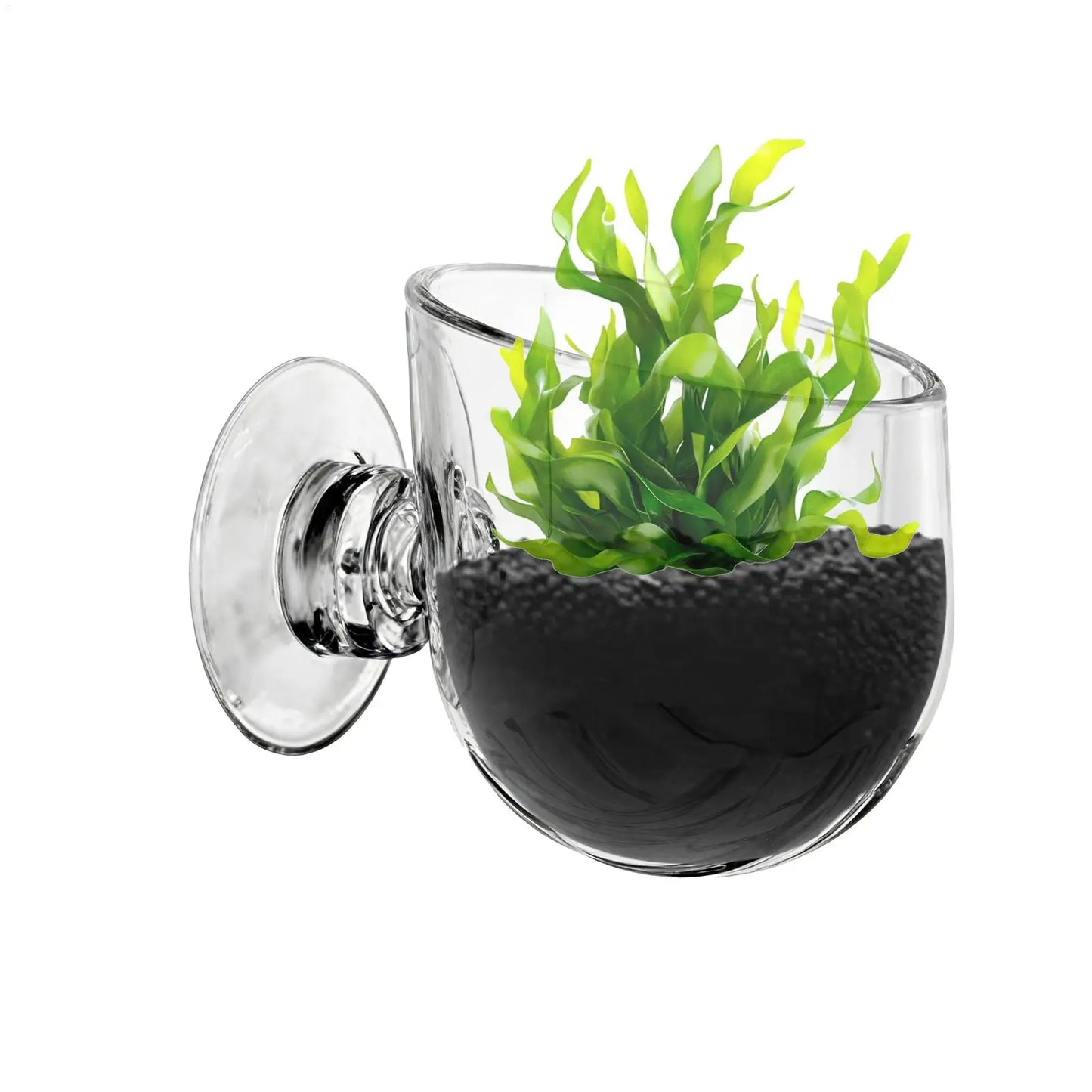Aquarium Plant Cup Holder – Hanging Fish Tank Planting Cylinder