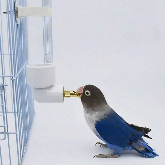 Automatic Bird Water Dispenser Bottle with Needle | Parrot Pets Bird Water Dispenser Peaceful Pleasures Health and Wellness