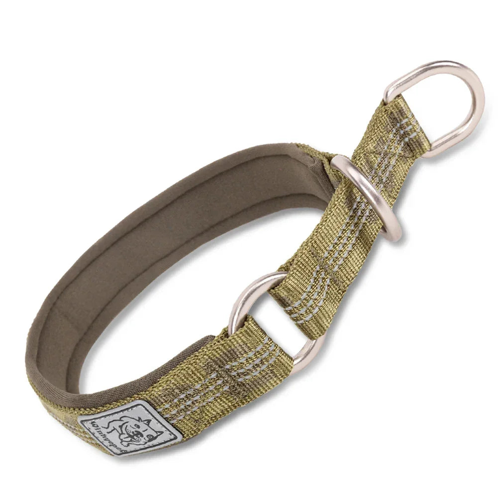 TRUELOVE P chain Pet Reflective Collar Nylon Best Neoprene Padded Half Choke Training Lightweight Washable Sports YC1852 Peaceful Pleasures Health and Wellness