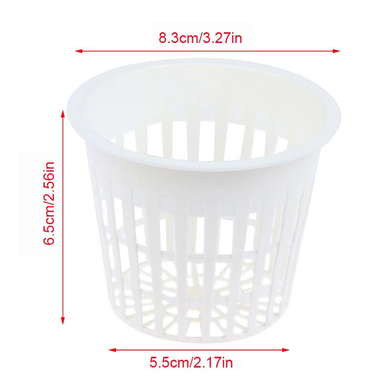 10PCS 2 Inch 3 Inch Grow Orchids Hydroponics Cups Planting Mesh Pot Soilless Net Basket Slotted Colonization Container Peaceful Pleasures Health and Wellness 3INCH White
