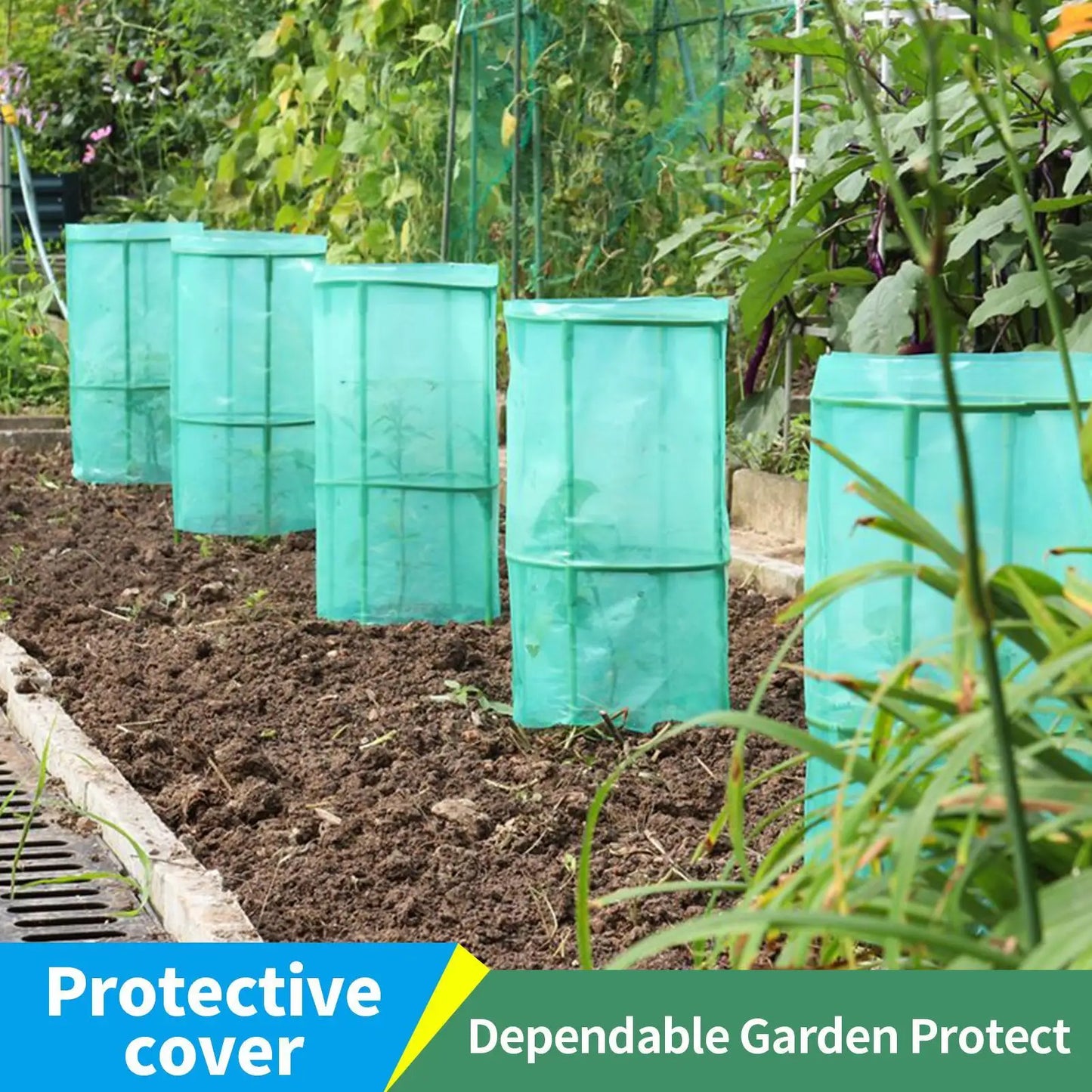 Garden Cloches 4-Pack | Frost & Animal Plant Protection
