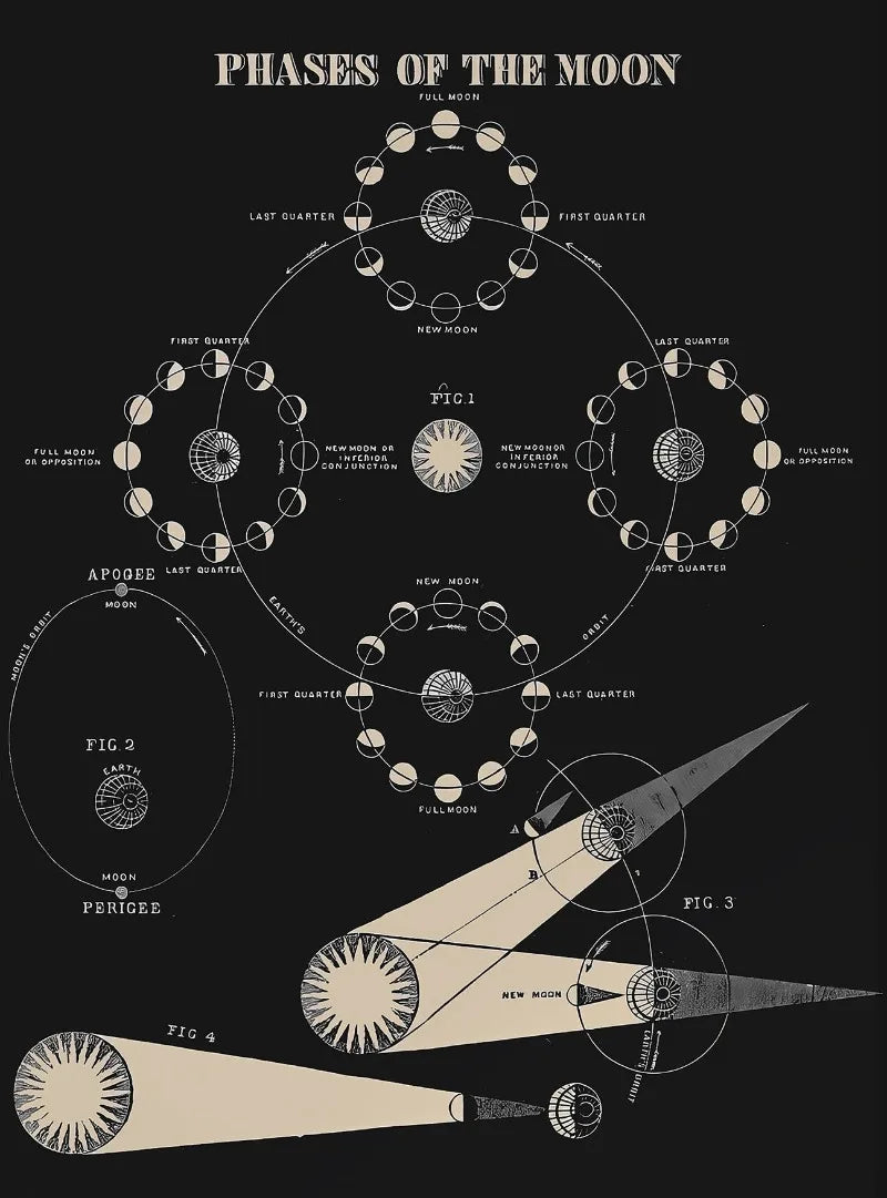 Vintage Space Astronomy Canvas Print | Solar System & Moon Phases Canvas Wall Art Peaceful Pleasures Health and Wellness CJ51900 55x75cm