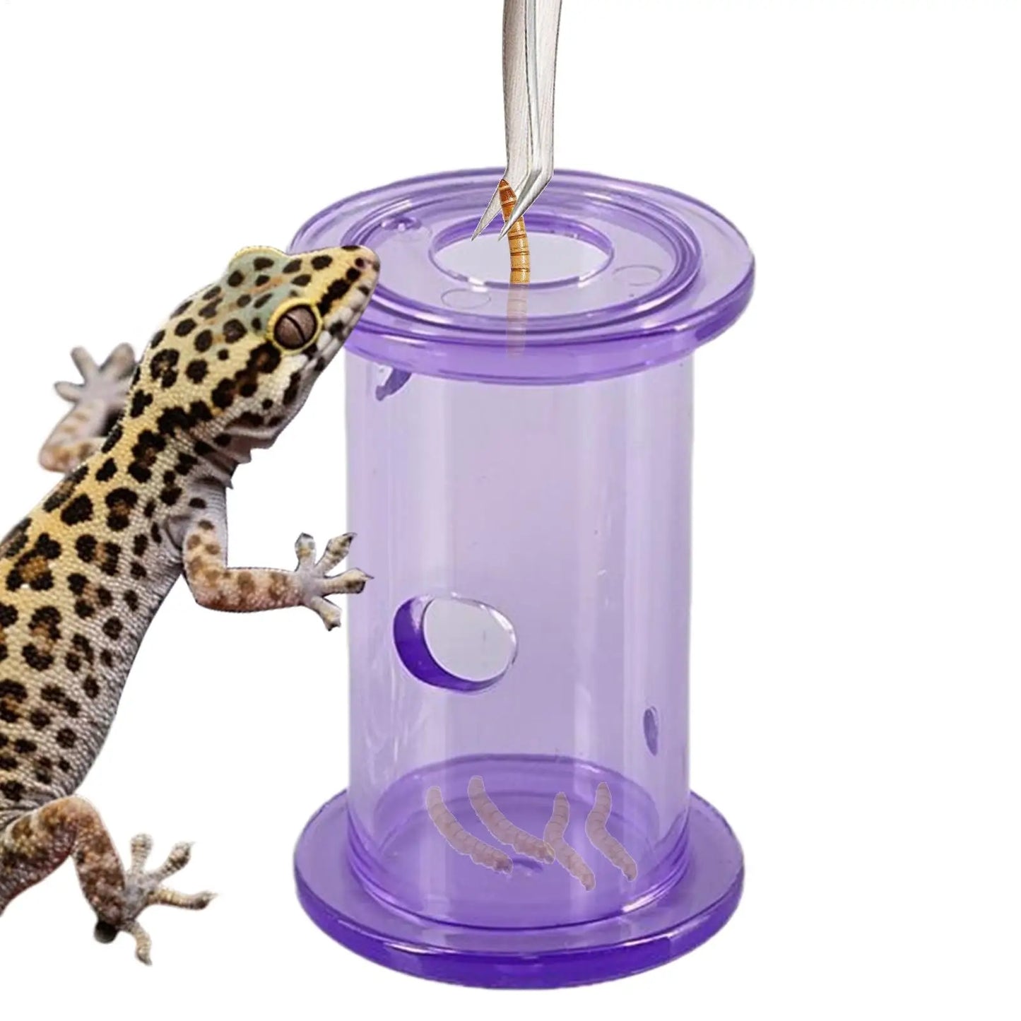 Reptile Slow Feeder Rolling Cylinder Toy | Bearded Dragon & Bird