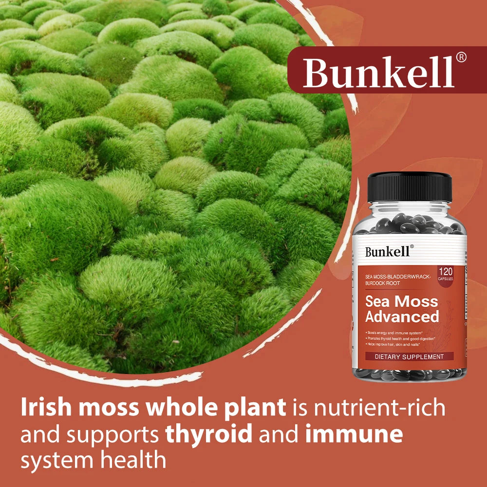 Sea Moss 500mg Capsules 3-in-1 Complex - Irish Moss, Bladderwrack & Burdock Root, Immune, Thyroid, Joint & Gut Support, Vegan Peaceful Pleasures Health and Wellness