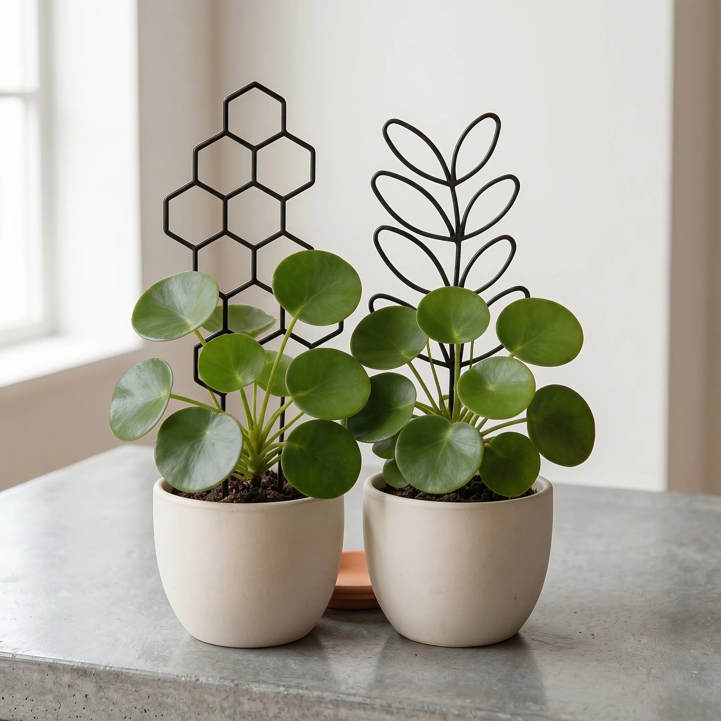 Leaf Shape Indoor Plant Trellis for Potted Climbing Plants
