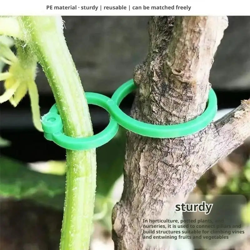 100pcs 8 Shape Garden Plant Clips Vining Climbing Plant Support Clamps for Vegetable Garden Binding Fixing Tools Peaceful Pleasures Health and Wellness