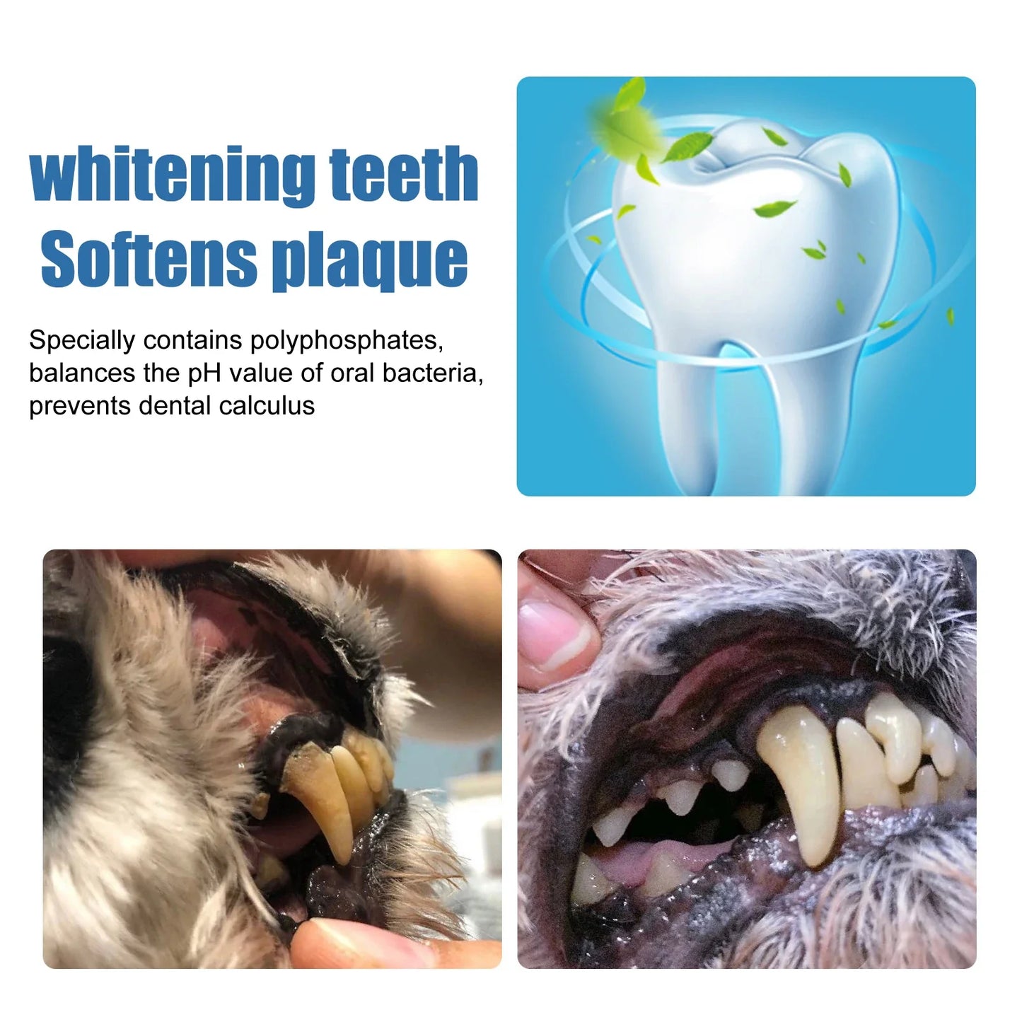 YEGBONG Pet Oral Foam Spray – Tartar Remover & Fresh Breath