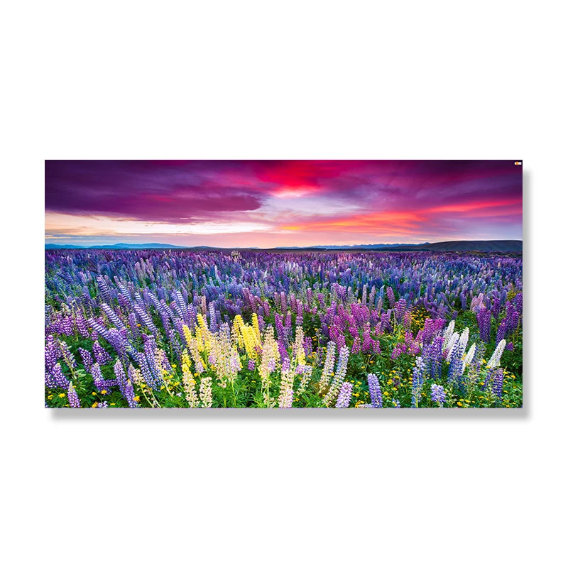 Lake Tekapo New Zealand Landscape Picture Canvas Painting Wall Art Lupin Flower Nature Mountain Posters Prints Living Room Decor Peaceful Pleasures Health and Wellness w3739 flower-5 30x60cm
