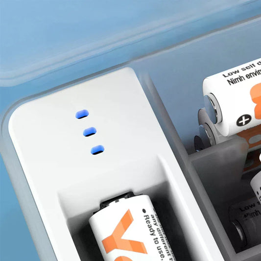 Battery Storage Box with Power Detector – AA & AAA Organizer Battery Organizer Oasis Select