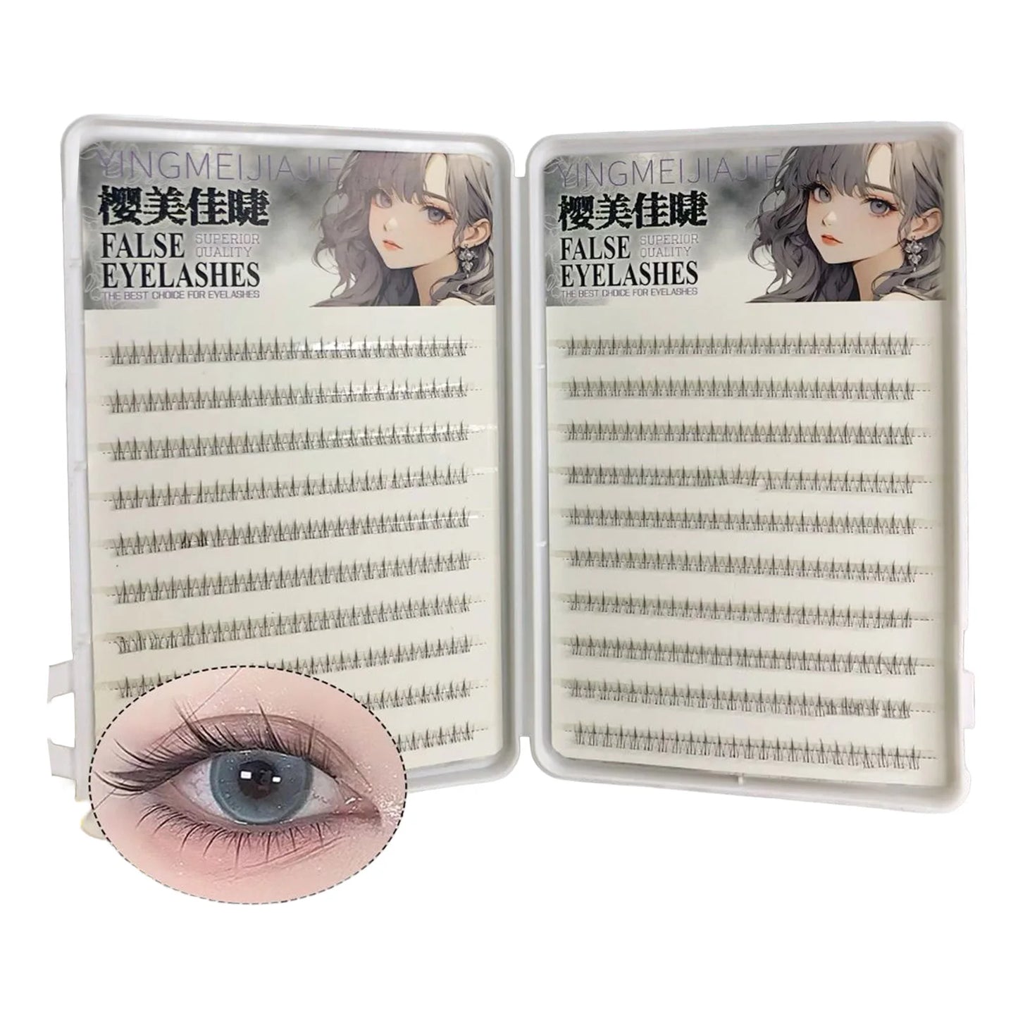 Cat Paw Lower Cluster Lash Extensions – Transparent Band