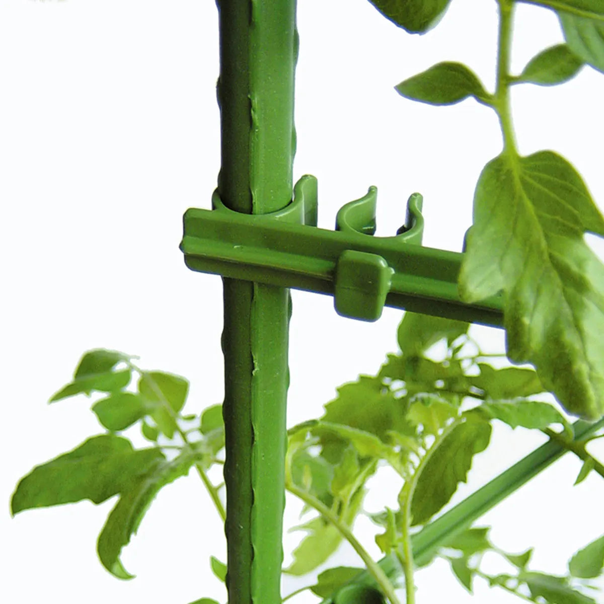 50Pcs Compact Reusable Plastic Gardening Clip Tomato Support Buckle Cucumber Vine Trellis Connector for 8Mm Round Tube Plant Peaceful Pleasures Health and Wellness