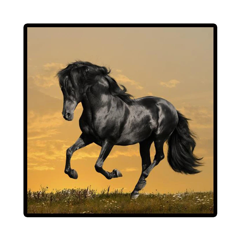 Nordic Horse Canvas Wall Art | Modern Unframed Poster Print