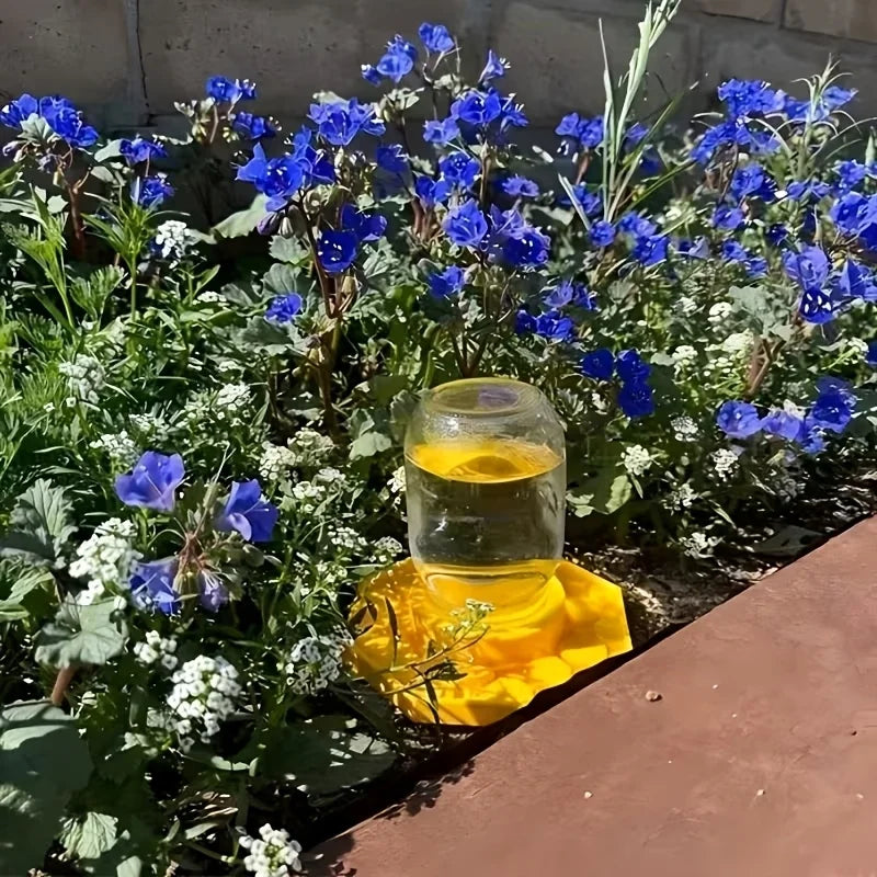 Bee Water Feeder with Perch | Safe Honeybee Drinking Station Bee Water Feeder Peaceful Pleasures Health and Wellness