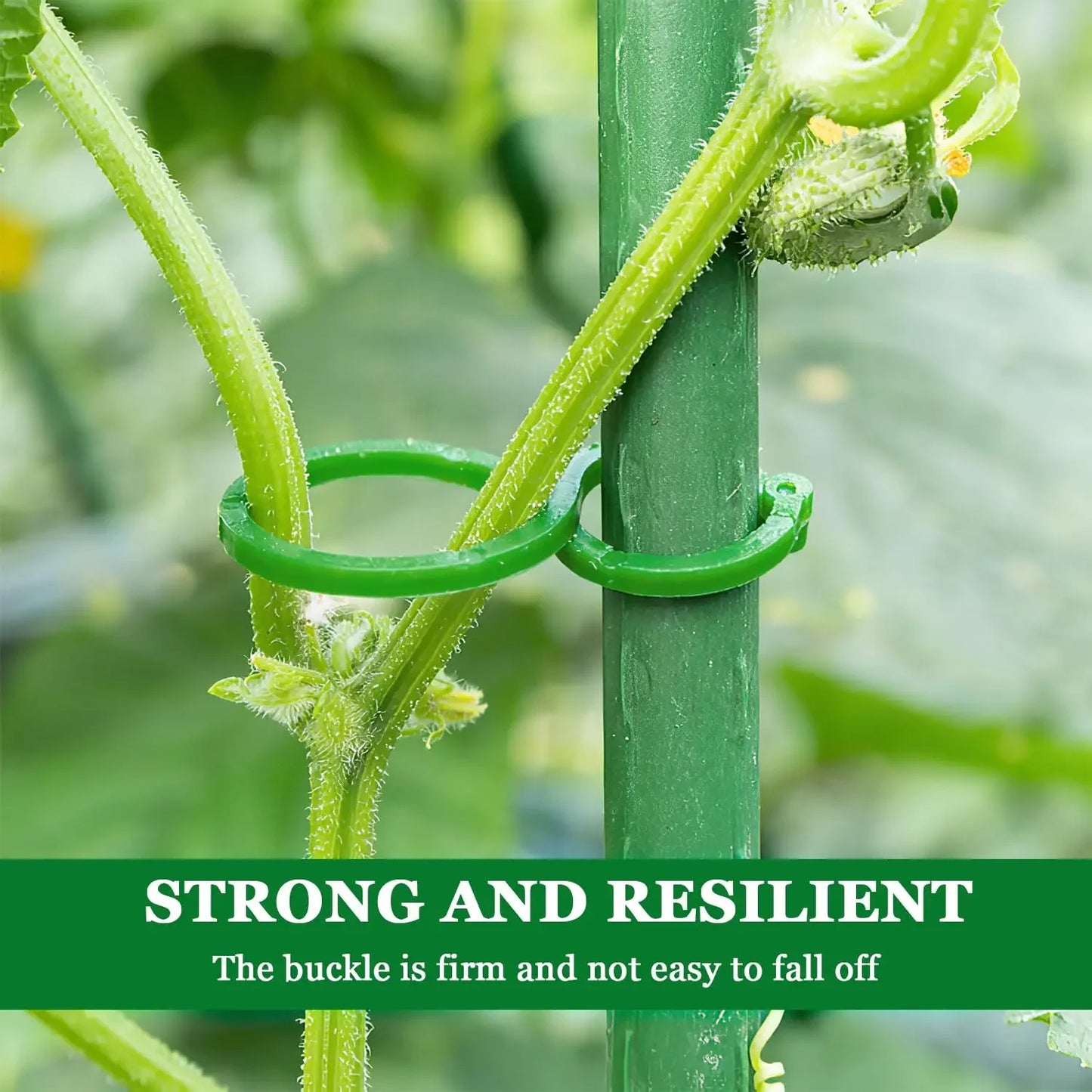 50Pcs 8 Word Buckle Vine Tying Clips Ring Fixing Bracket Garden Plant Holder Tools Garden Decorations Plant Climbing Wall Clips Peaceful Pleasures Health and Wellness