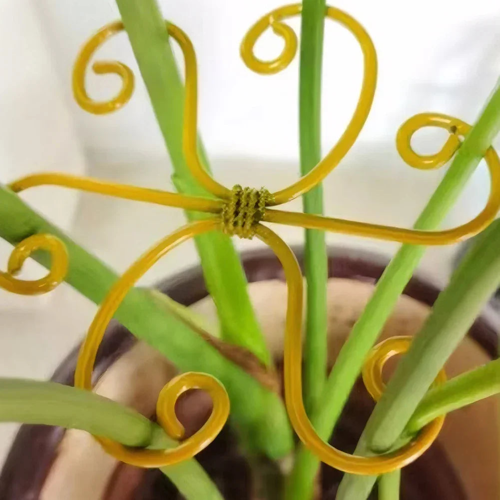 5Pcs Plant Stem Support & Stabilizer for Indoor Plants Peaceful Pleasures Health and Wellness