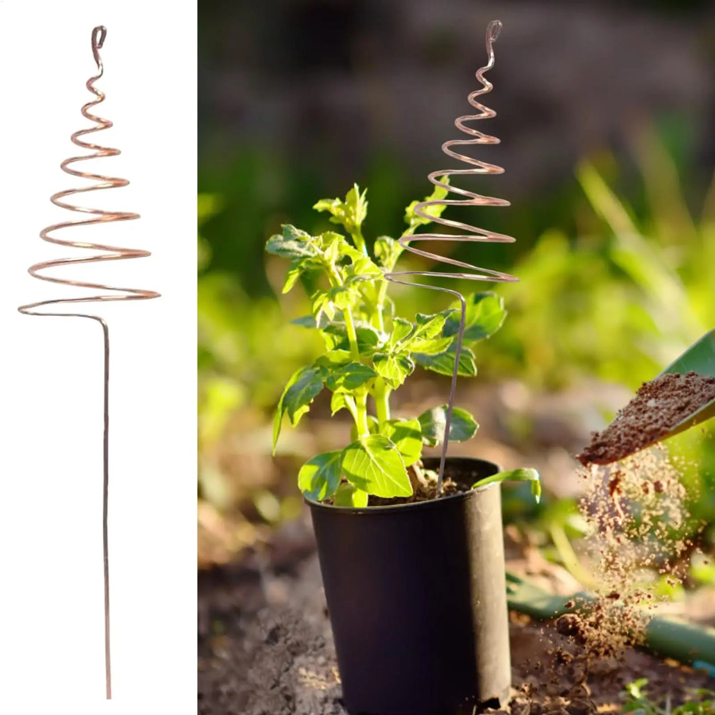 Copper Garden Stakes 6-Pack | Spiral Plant Support Rods