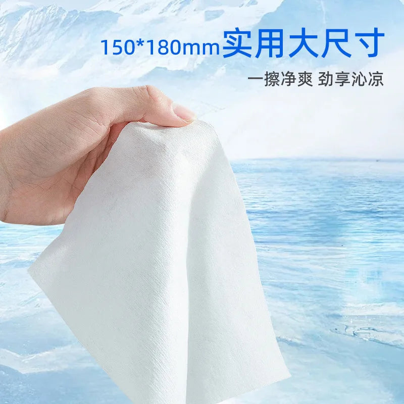Mint Cooling Wet Wipes – Portable Refreshing Summer Wipes
