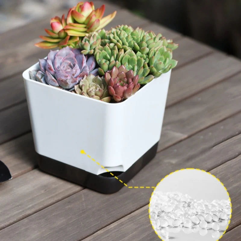 5-Pack Self Watering Planters | Drainage & Clear Reservoir