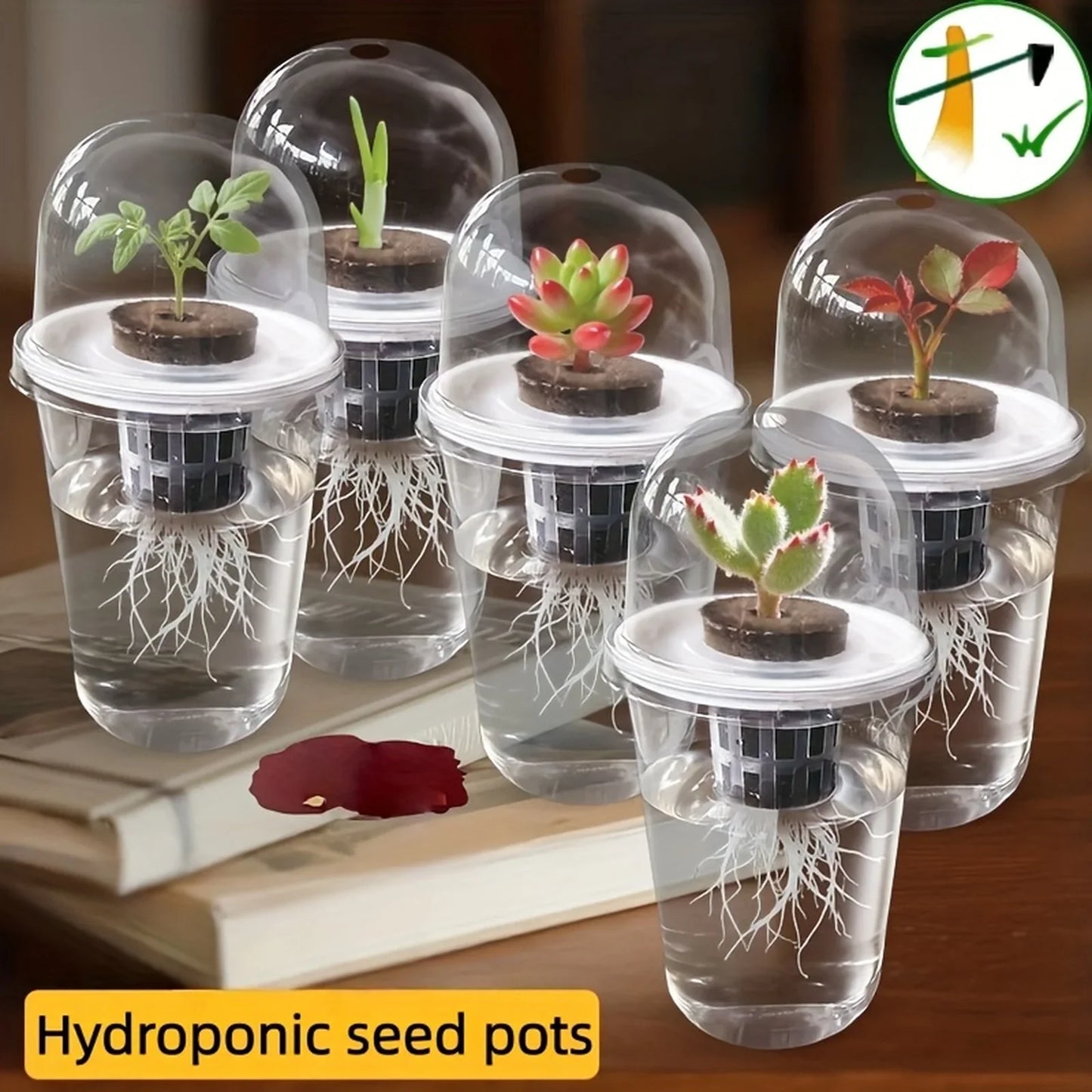 Clear Hydroponic Seed Germination Cup – Transparent Starter Pot