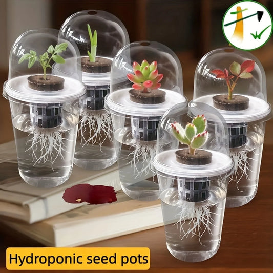 Clear Hydroponic Seed Germination Cup – Transparent Starter Pot Hydroponic Seed Starter Oasis Select