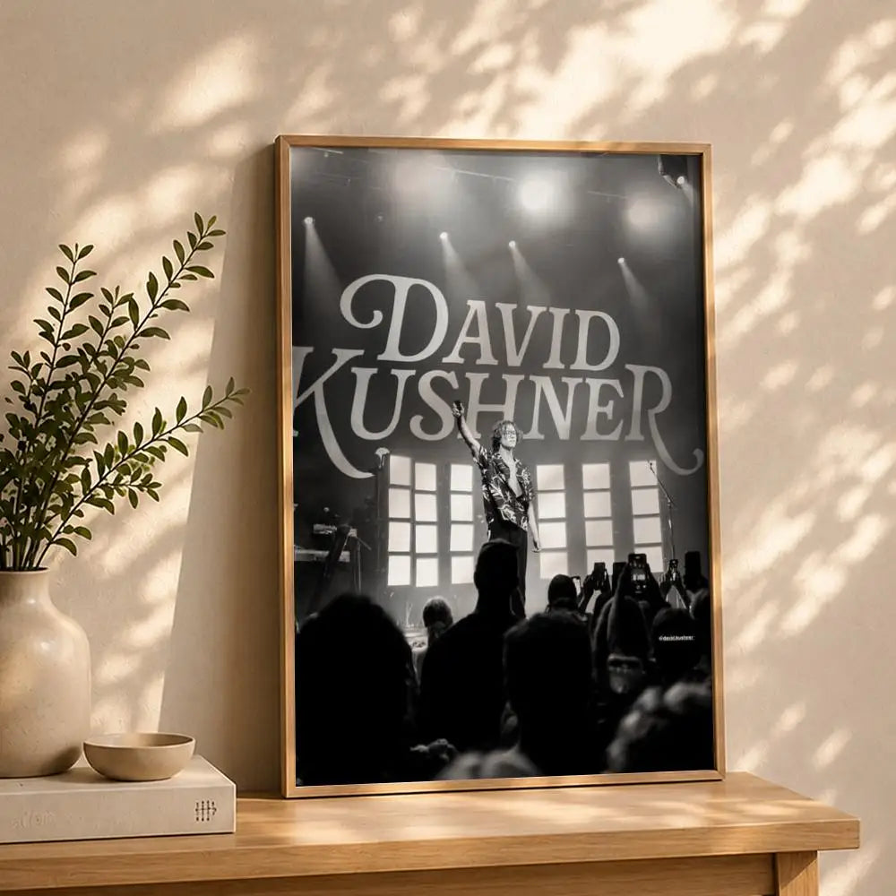 Singer D-David KushnerS Poster HD Self Adhesive Waterproof Wall Art Ideal for Home Office Dorm Bedroom Great Gift Peaceful Pleasures Health and Wellness White10 30X40cmNoframe