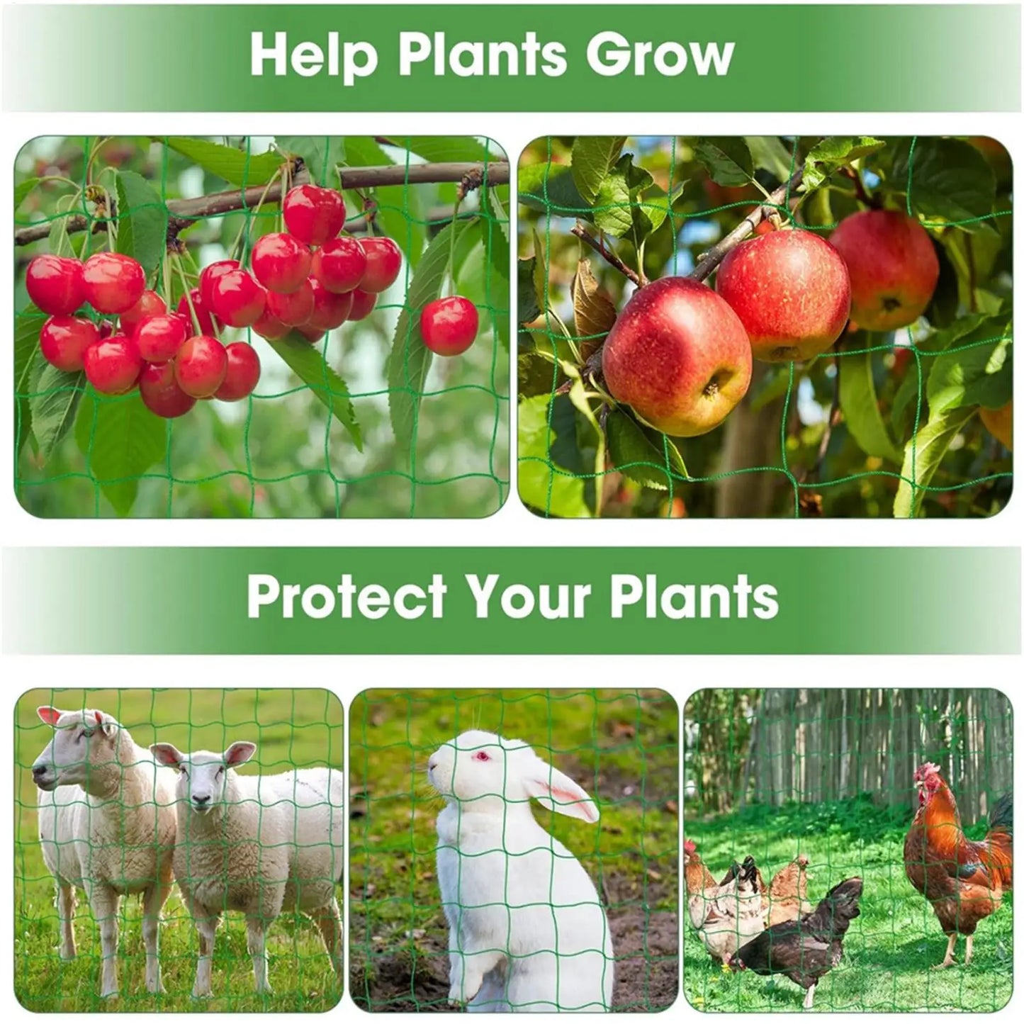 Trellis Netting for Climbing Plants | Vertical Grow Support Net