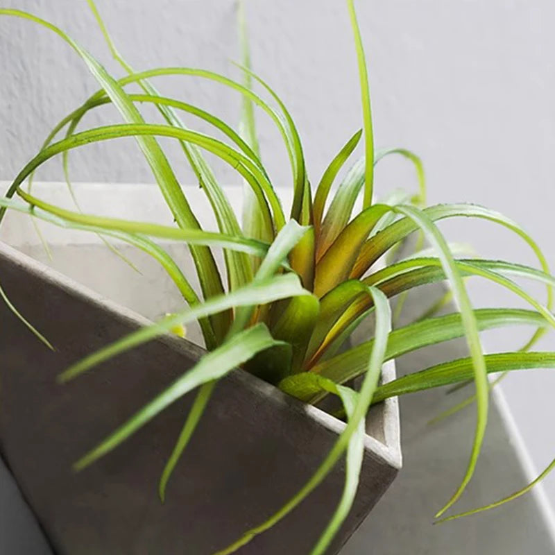 Cement Wall Vase | Modern Ikebana Stem Holder & Home Decor Wall Vase Peaceful Pleasures Health and Wellness