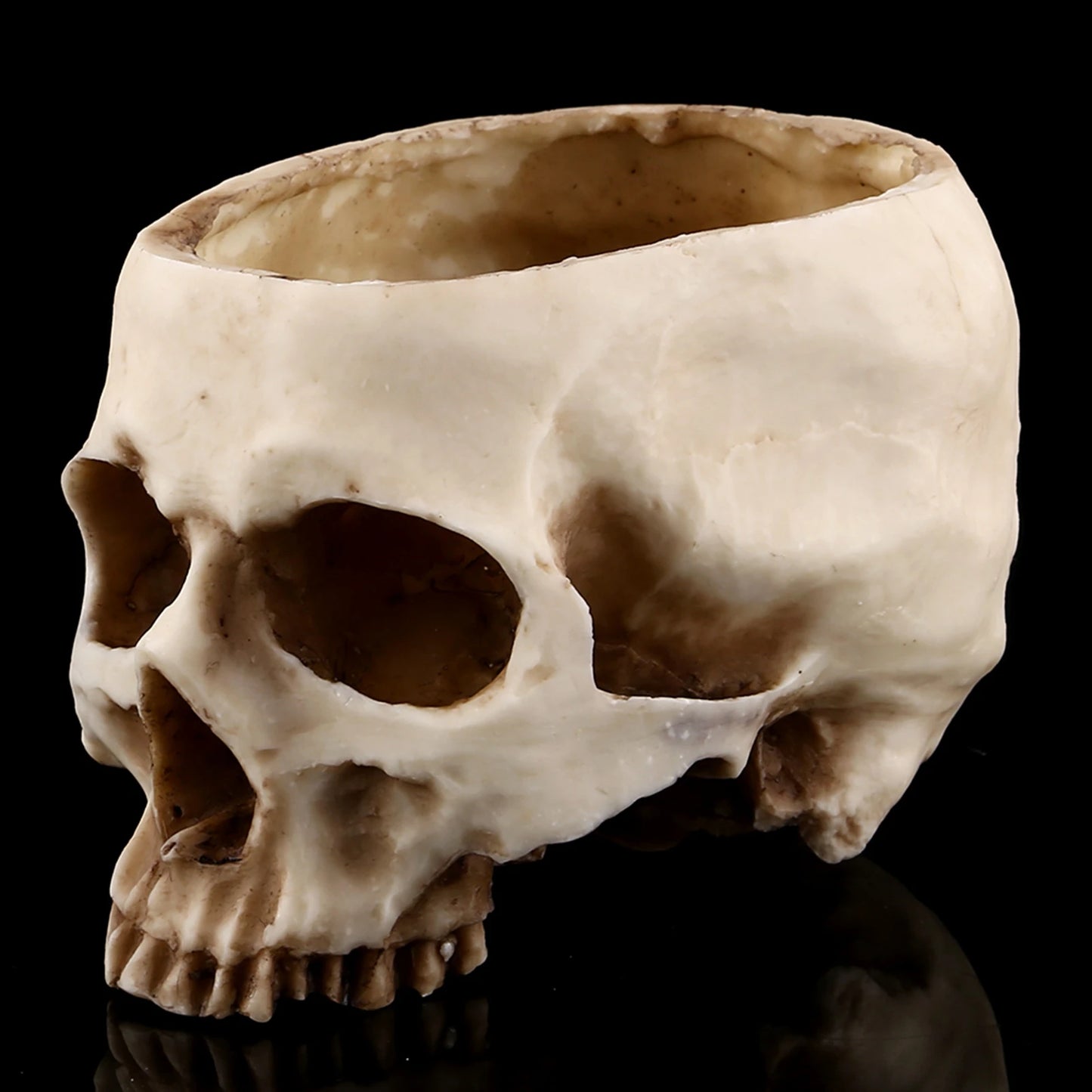 Resin Skull Flower Pot | Gothic Planter & Halloween Decor