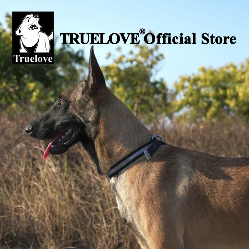 Truelove Reflective Dog Collar – Waterproof & Adjustable TLC5521 Peaceful Pleasures Health and Wellness