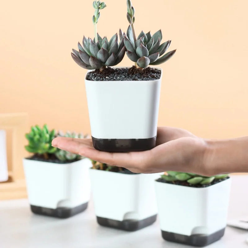 5-Pack Self Watering Mini Plant Pots with Water Reservoir