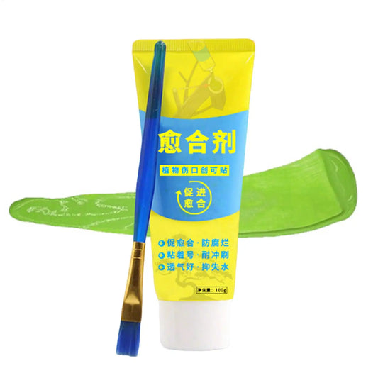 Tree Pruning Sealer & Grafting Compound with Brush – 100g Pruning Sealer Compound Peaceful Pleasures Health and Wellness Default Title