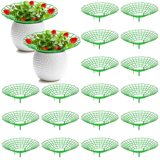 10PCS Vegetable Growing Rack Garden Tools Strawberry Supports With 3 Sturdy Support Feet Keeping Plant Fruit Stand Peaceful Pleasures Health and Wellness