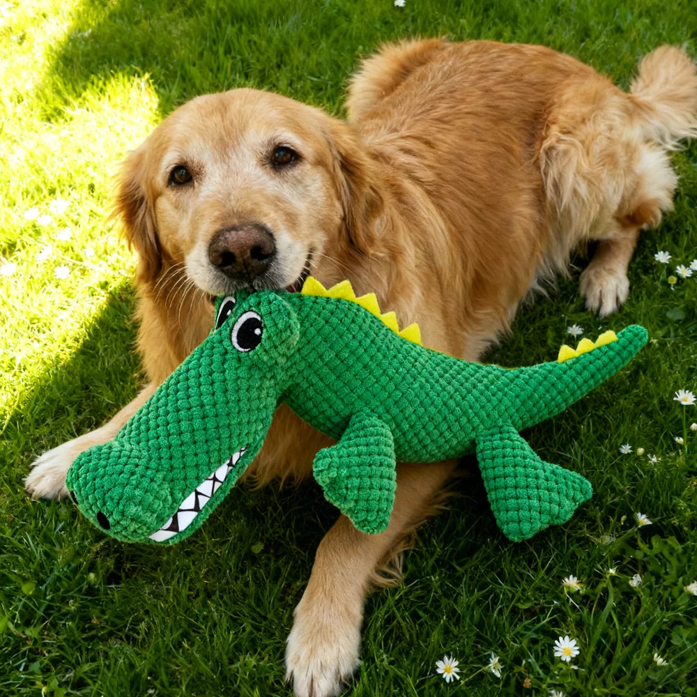 Squeaky Dinosaur Plush Dog Toy – Durable for All Dog Sizes