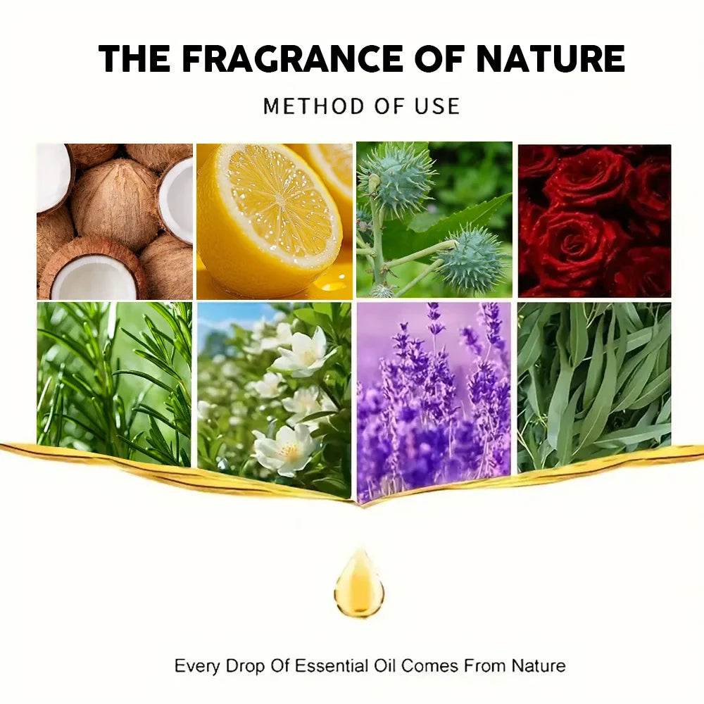 YOUNGCOME 6-Piece Natural Essential Oil Set – Hair & Skin Care